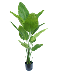 Plante artificielle Strelitzia 150 cm real touch