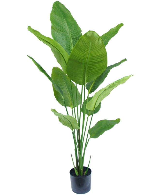 Plante artificielle Strelitzia 150 cm real touch