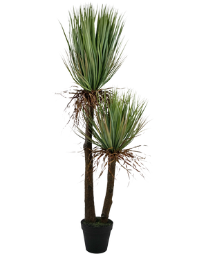 Yucca artificiel Deluxe 153 cm