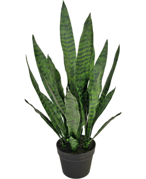 Plante artificielle Sansevieria Zeylanica 71 cm