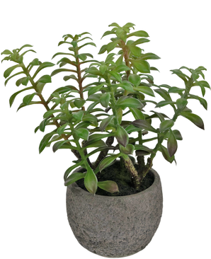 Succulente artificielle dans un pot ornemental 31 cm