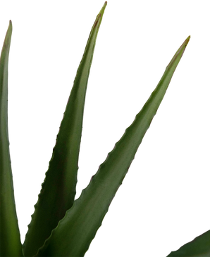 Plante artificielle Aloe Vera 45 cm