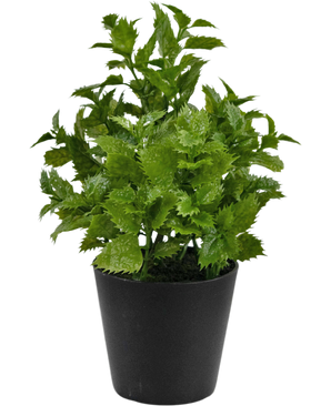 Plante artificielle Perilla 25 cm