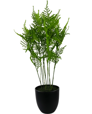 Plante artificielle Asparagus 59 cm