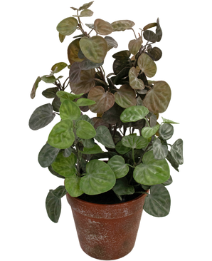 Plante artificielle Peperomia 35 cm