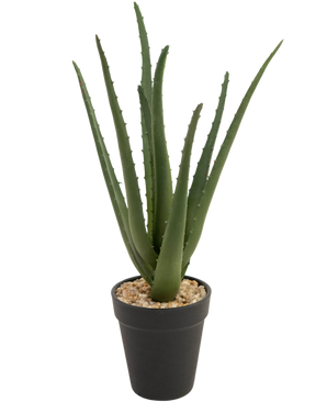 Plante artificielle Aloe Vera 33 cm