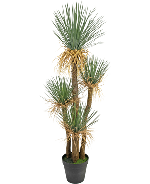 Plante artificielle Yucca deluxe 182 cm