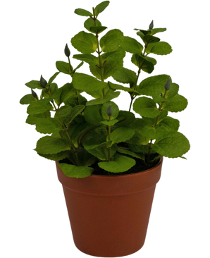 Plante artificielle Menthe 30 cm