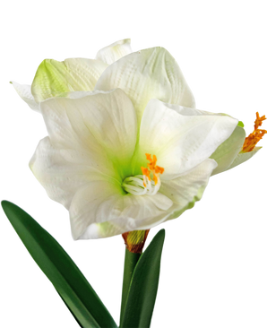 Fleur artificielle Amaryllis blanc 48 cm