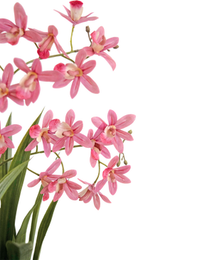 Plante artificielle Mini Cymbidium Real Touch 58 cm rose