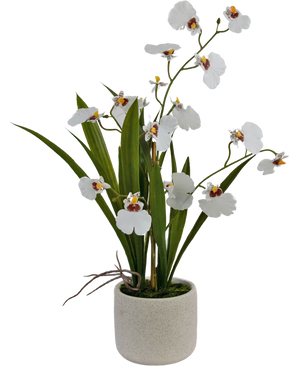 Oncidium artificiel Real Touch 48 cm blanc