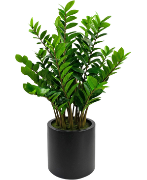 Plante artificielle Zamioculcas ready-made en pot noir 120 cm