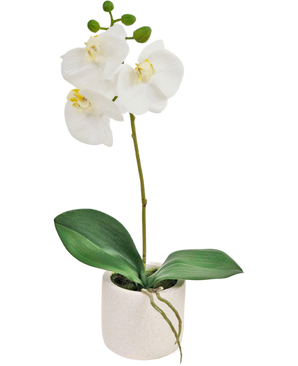 Orchidée artificielle Real Touch 30 cm blanc