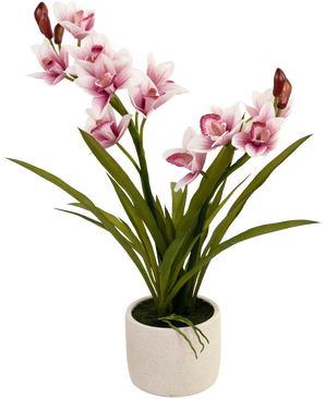 Cymbidium artificiel Real Touch rose 60 cm