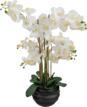 Orchidée artificielle Real Touch 85 cm blanc