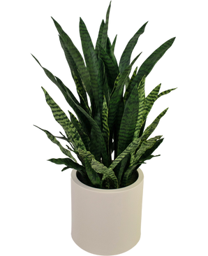 Sansevieria Zylanica artificiel 43 cm prêt à l'emploi dans un pot beige