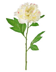 Fleur artificielle Pivoine 77 cm blanc