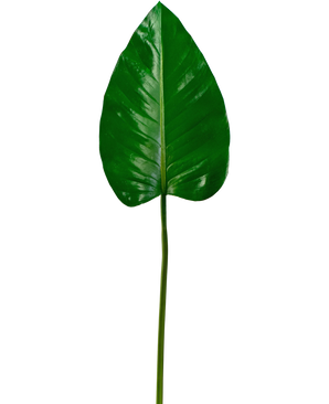 Feuille artificielle Alocasia 78cm