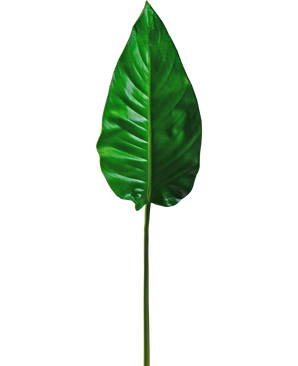 Feuille artificielle Alocasia 76cm