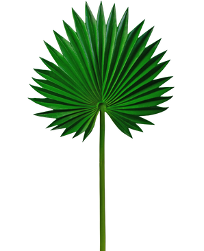 Feuille artificielle Washingtonia 73cm