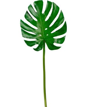 Feuille artificielle Monstera 88cm