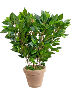 Plante artificielle en pot Mini Ficus 45 cm