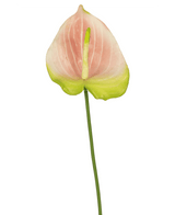 Anthurium artificiel rose 65 cm