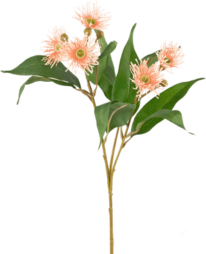 Branche artificielle Eucalyptus fleuri rose ancien 62 cm