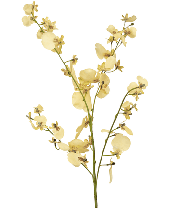 Branche artificielle Orchidée beige 80 cm