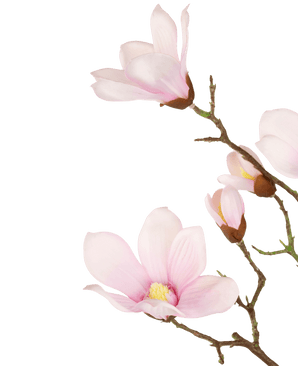 Branche de magnolia artificiel Real Touch rose 98 cm