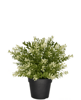 Buxus artificiel en pot UV 23 cm