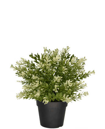 Buxus artificiel en pot UV 23 cm