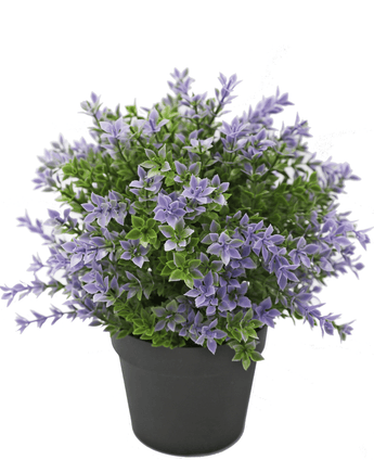 Buxus artificiel violet UV 22 cm