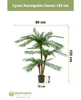 Cycas Palmetto Classic 135 cm