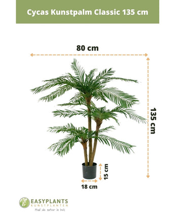 Cycas Palmetto Classic 135 cm