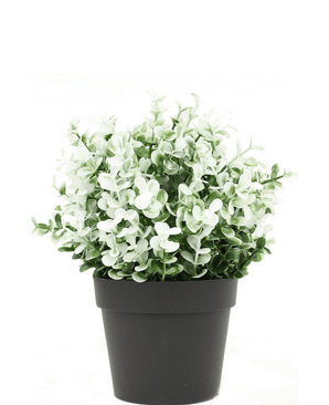 Cyprès artificiel blanc en pot UV 19 cm