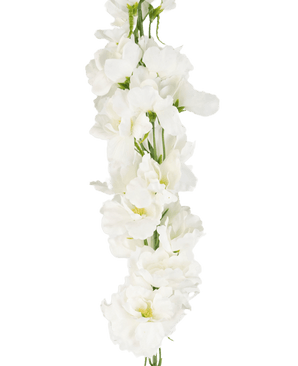 Delphinium artificiel Real Touch blanc 90 cm