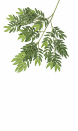 Feuille artificielle Ming Aralia verte ignifugée 50 cm