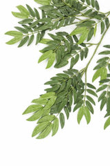 Feuille artificielle Ming Aralia verte ignifugée 50 cm