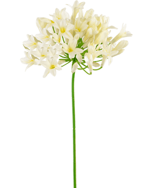 Fleur artificielle Agapanthe blanc 75 cm