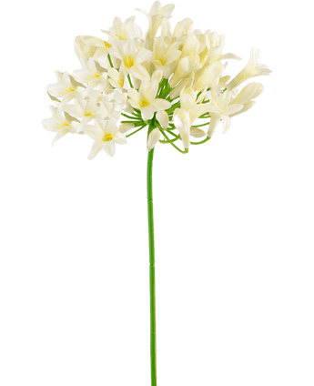 Fleur artificielle Agapanthe blanc 75 cm