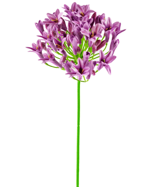 Fleur artificielle Agapanthe violet 75 cm