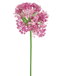 Fleur artificielle Allium violet 60 cm