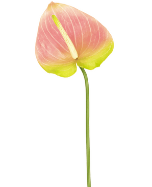 Fleur artificielle Anthurium vert/rose 65 cm