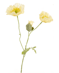 Fleur artificielle Coquelicot 73 cm crème