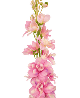 Fleur artificielle Delphinium 79 cm rose