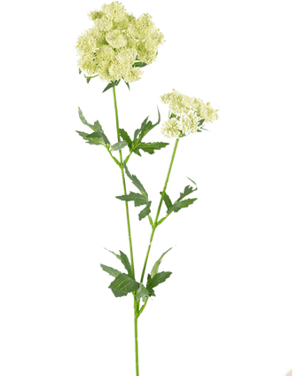 Fleur artificielle Fleur de dentelle 76 cm blanche