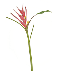 Fleur artificielle Heliconia 90 cm fuchsia