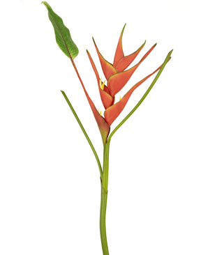 Fleur artificielle Heliconia 90 cm rouge