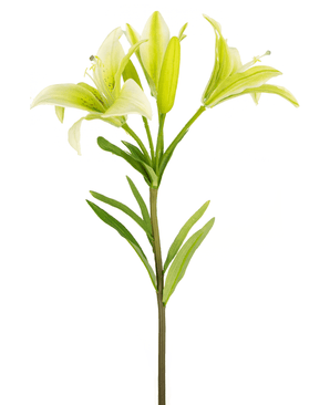 Fleur artificielle Lys asiatique 66 cm blanc